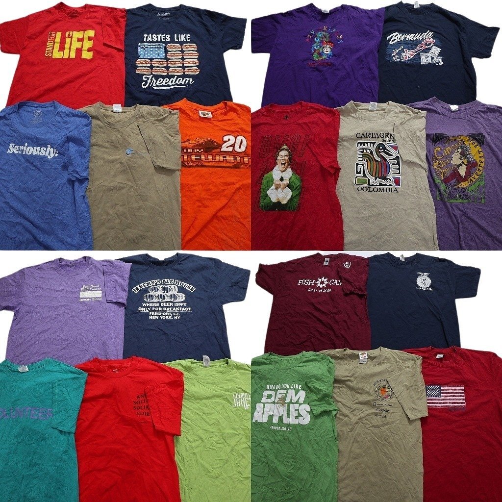 古着卸 まとめ売り カラーmix プリント 半袖Tシャツ 20枚セット (メンズ L ) シンプル ロゴ MS0137