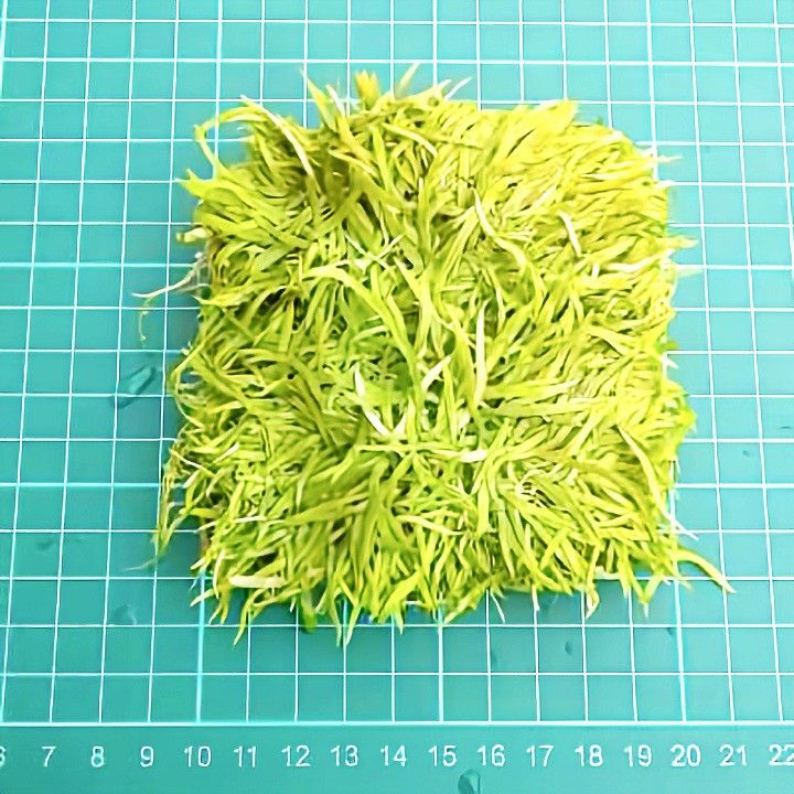 ウォーターローン絨毯状 10×10cm 【ネコポス発送】