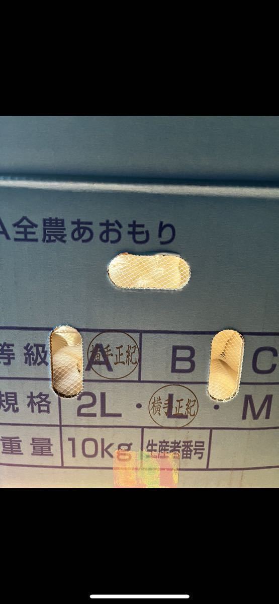 お客様から再販して欲しいとのお声を頂きましたので再販します！！ 青森産 にんにく A品Lサイズ  10キロ JA全農あおもり 送料無料の画像3