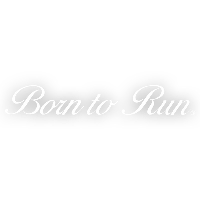 ◆メール100円◆ Born to Run 大 PP素材,耐水 東洋マーク ステッカー AP-202_画像1