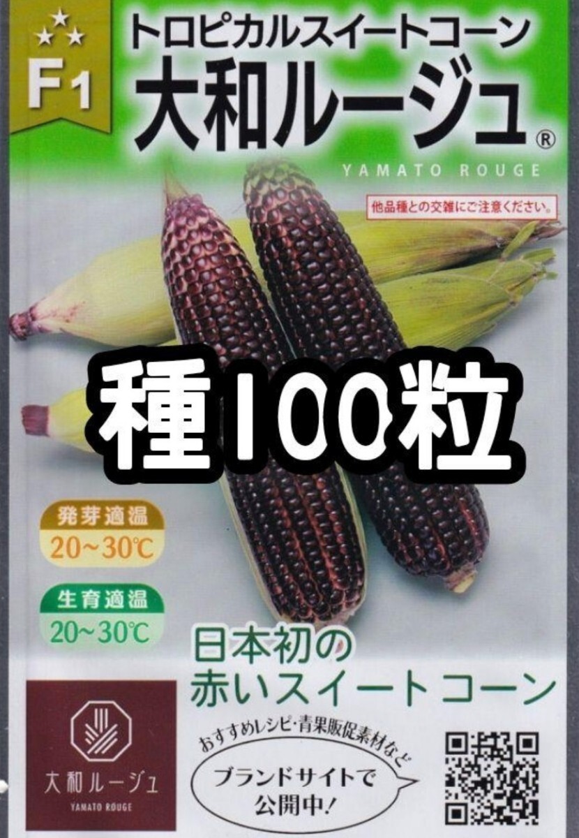 [100 шарик ] Yamato rouge тропический сладкий кукуруза кукуруза красный вид ..