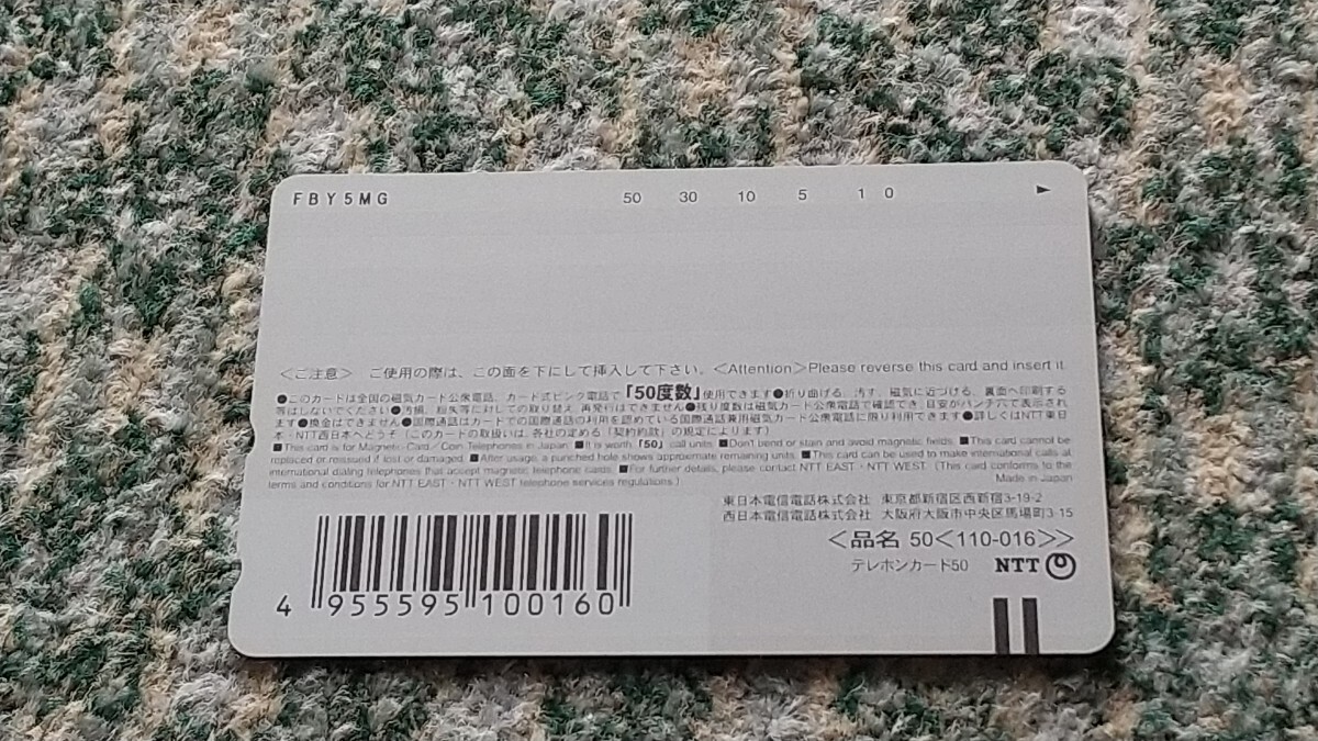 ひぐらしのなく頃に 絆　テレホンカード　５０度数　【送料無料】_画像9