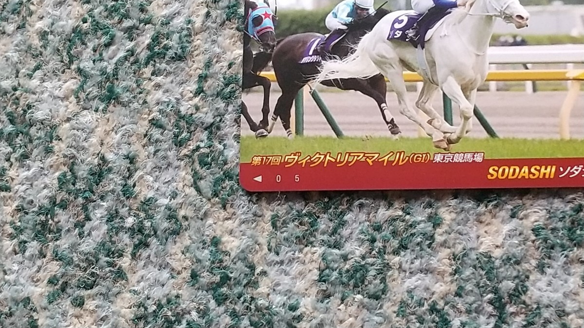  horse racing sodasiSODASHI no. 17 times Victoria mile (GⅠ ) Tokyo Metropolitan area horse racing place QUO card QUO card 500 [ free shipping ]