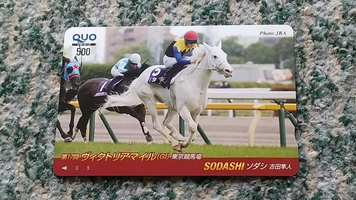  horse racing sodasiSODASHI no. 17 times Victoria mile (GⅠ ) Tokyo Metropolitan area horse racing place QUO card QUO card 500 [ free shipping ]