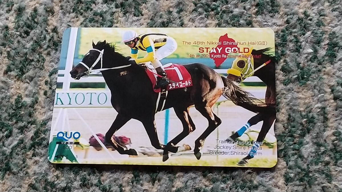  horse racing stay Gold STAY GOLD no. 48 times Nikkei New Year (Spring) cup (GⅡ) QUO card QUO card 500 [ free shipping ]