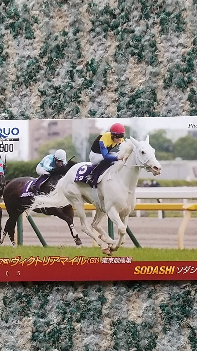  horse racing sodasiSODASHI no. 17 times Victoria mile (GⅠ ) Tokyo Metropolitan area horse racing place QUO card QUO card 500 [ free shipping ]