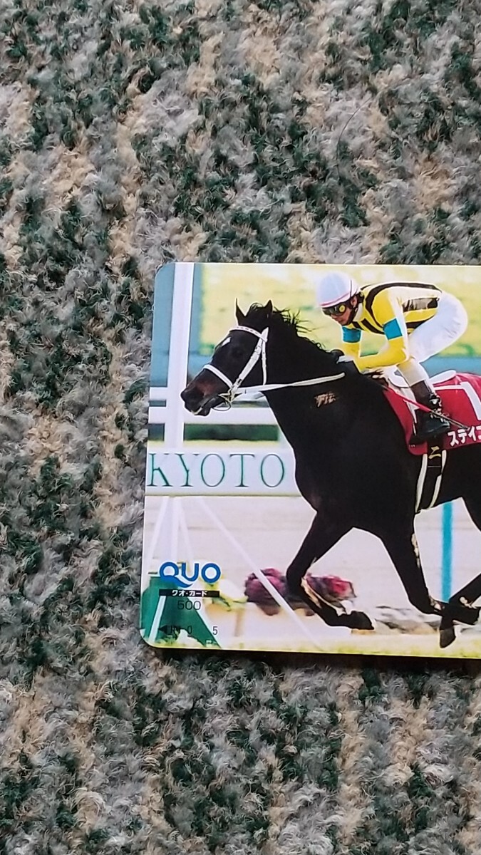  horse racing stay Gold STAY GOLD no. 48 times Nikkei New Year (Spring) cup (GⅡ) QUO card QUO card 500 [ free shipping ]