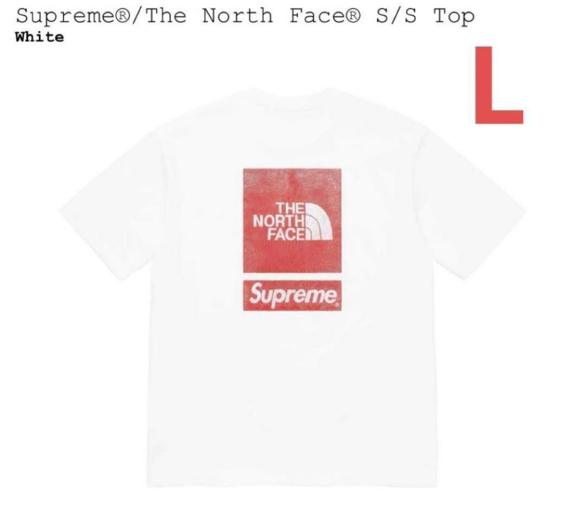 Supreme The North Face S/S Top