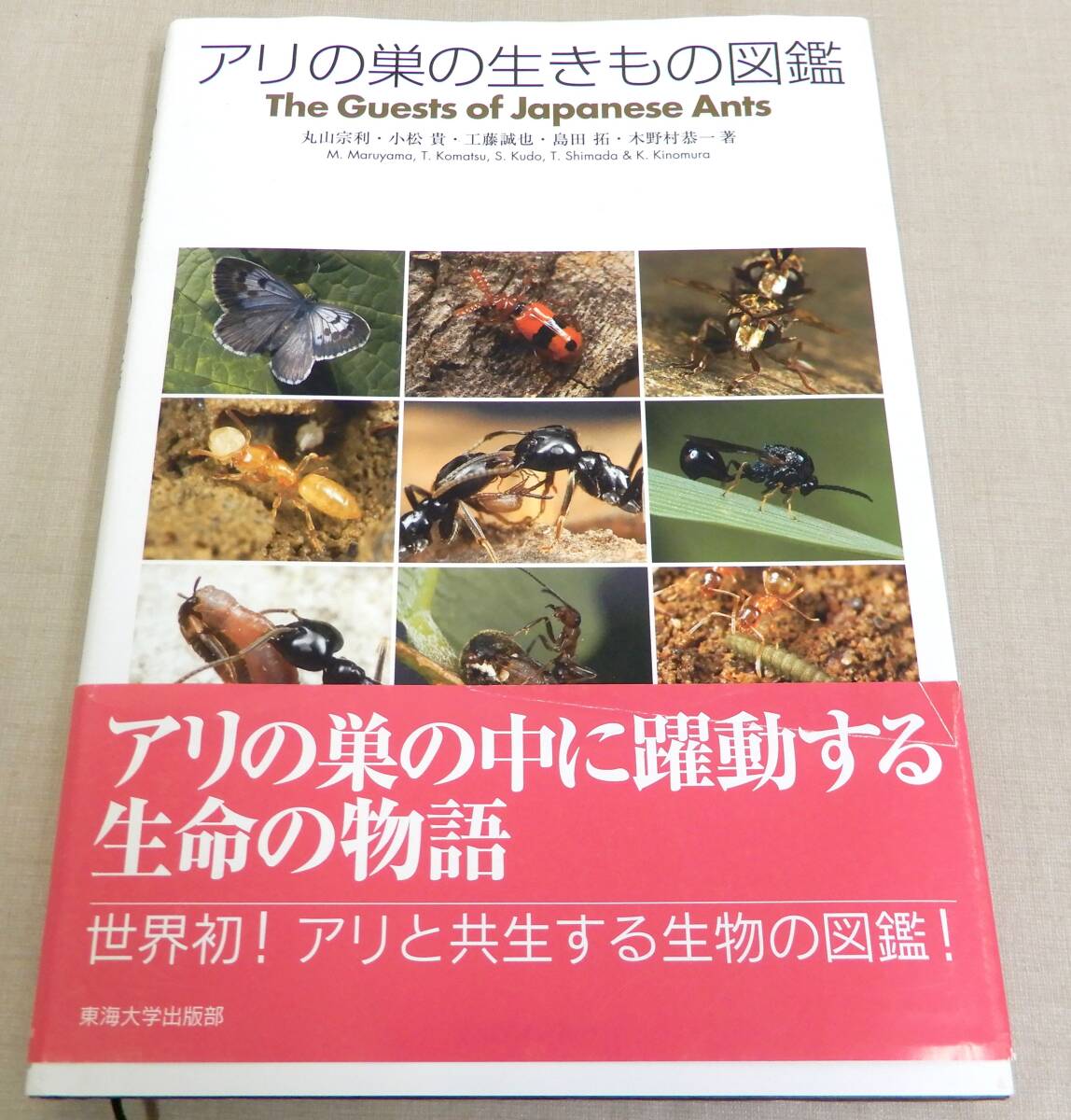 KS102/ アリの巣の生きもの図鑑 東海大学出版部 / The Guests of Japanese Antsの画像1