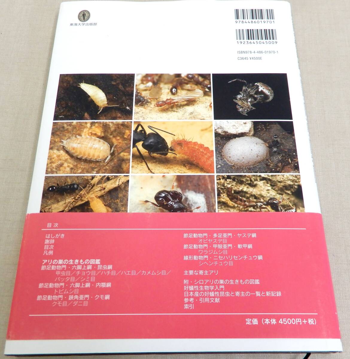 KS102/ アリの巣の生きもの図鑑 東海大学出版部 / The Guests of Japanese Antsの画像2