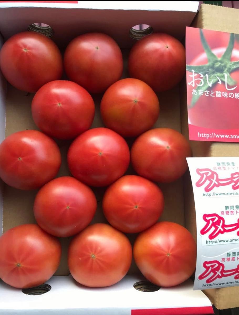 5ケース　アメーラトマト　自信あります！　高糖度　フルーツトマト　品質鮮度抜群！