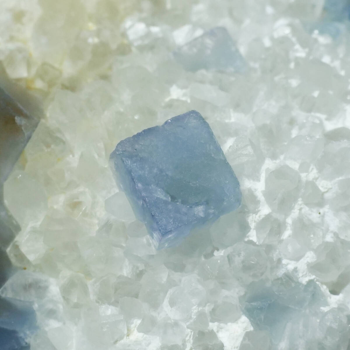 【鉱物 標本 蛍石 水晶 結晶 原石】アメリカ ニューメキシコ Blanchard Mine フローライト クォーツ_画像8