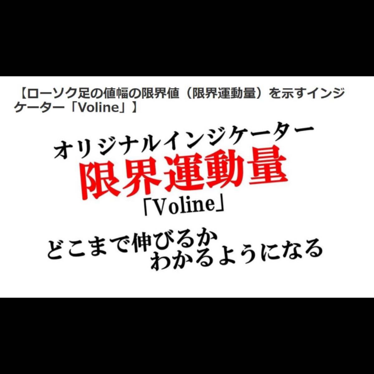 ★FX★ローソク足の値幅の限界値（限界運動量）を示す「Voline」＋トレート手法解説動画★誰でも価格がどこまで伸びるかを予測でき