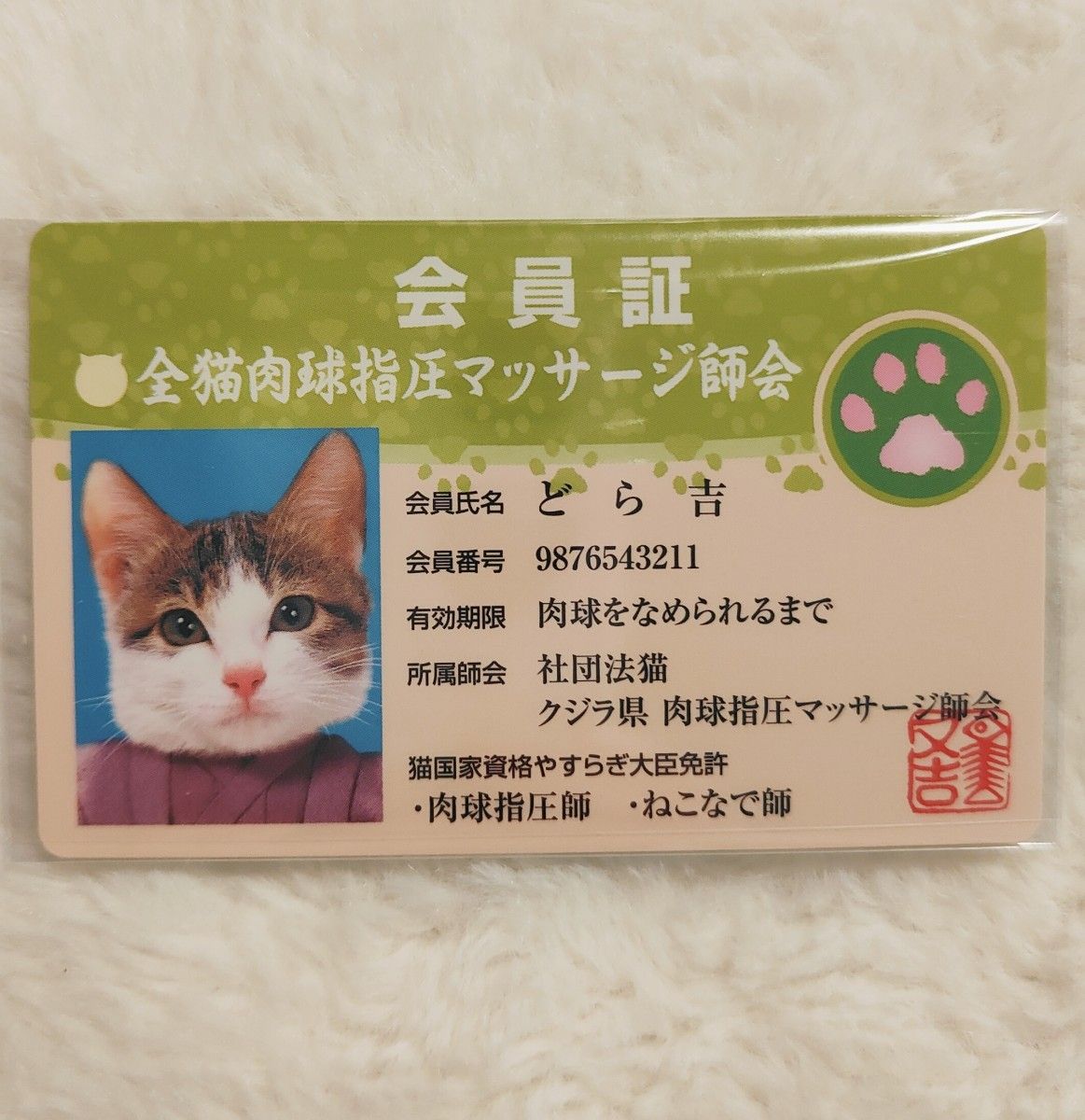 【No.N-018】なめ猫 なめんなよカードコレクション2  2枚セット
