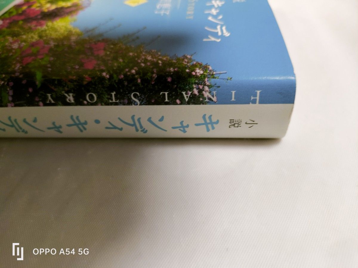 最終値下げ　帯付き小説キャンディ・キャンディFINAL　STORY下巻　名木田恵子