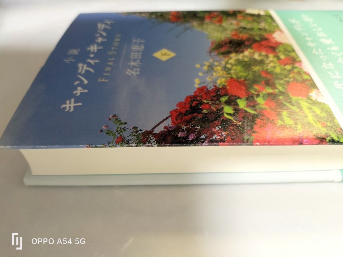最終値下げ 帯付き小説キャンディ・キャンディFINAL STORY下巻 最終値下げ 帯付き小説キャンディ・キャンディFINAL STORY下巻