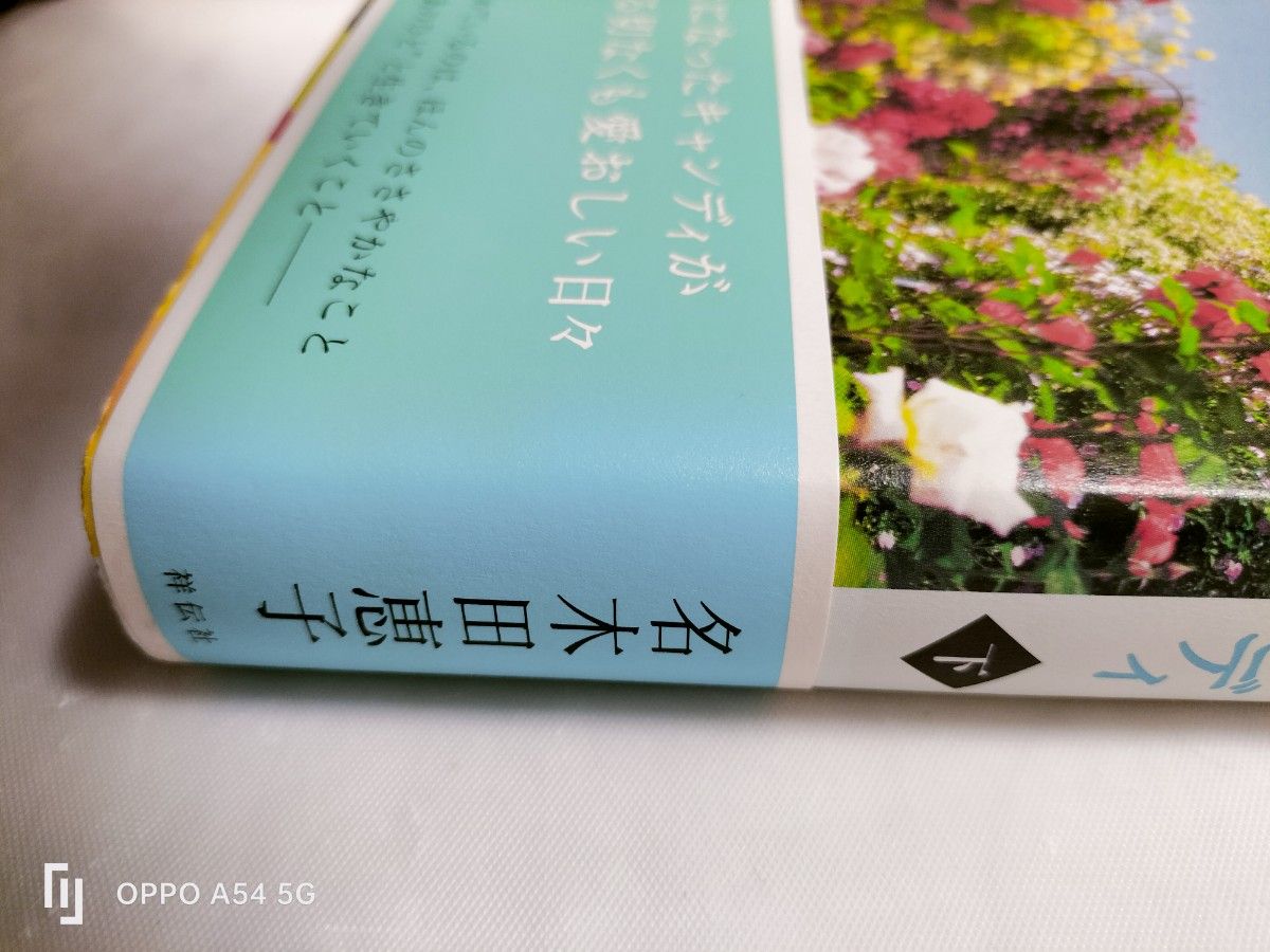 最終値下げ　帯付き小説キャンディ・キャンディFINAL　STORY下巻　名木田恵子