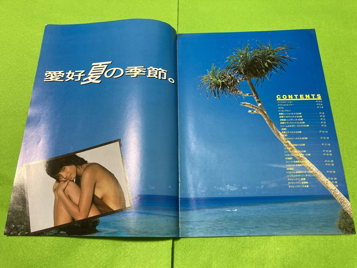 1987年　全日空で行く　沖縄　ANA カタログ　(一部難あり)　● 石田ゆり子_画像6