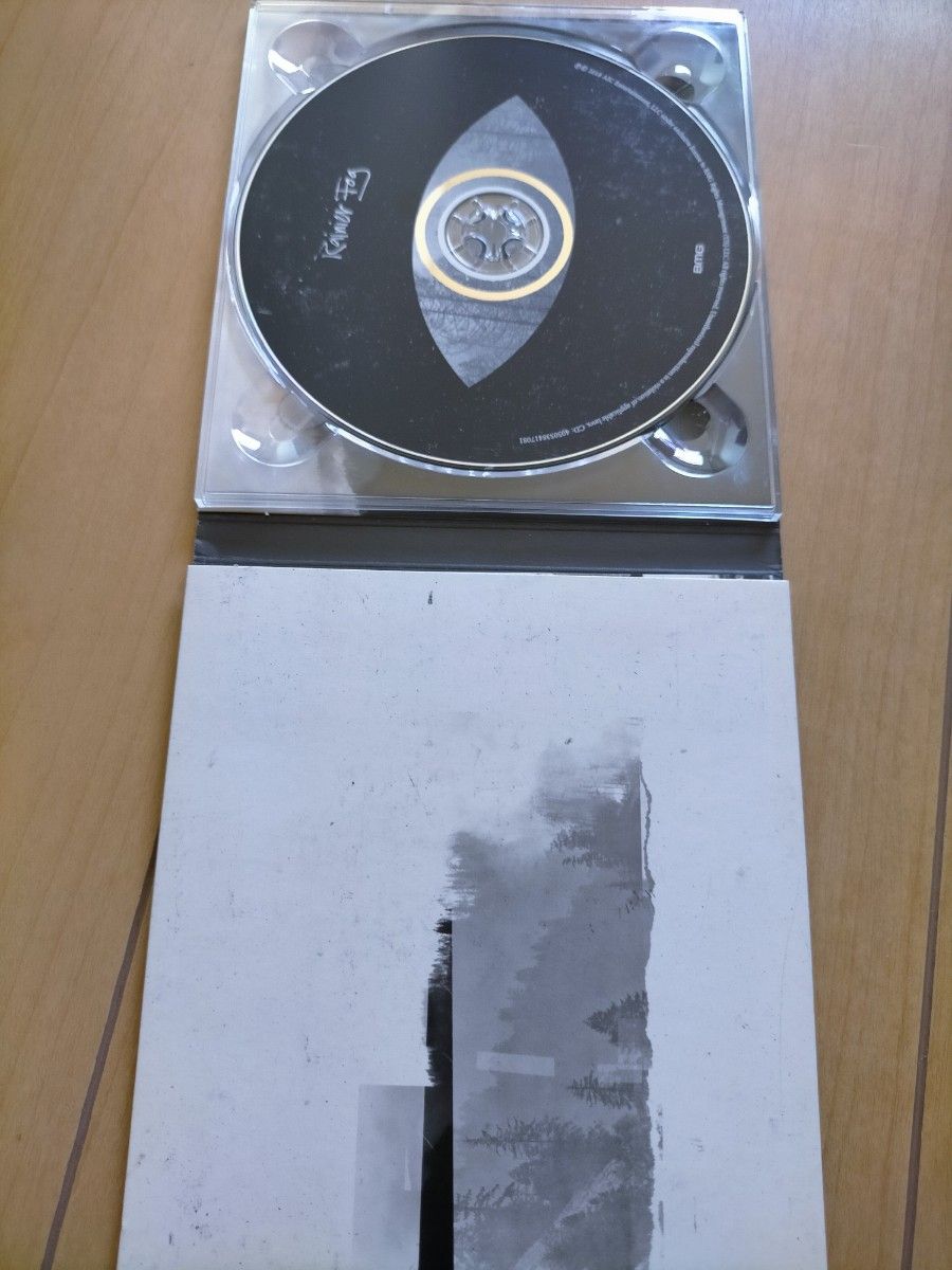 Alice In Chains Rainier Fog CD アリス・イン・チェインズ nirvana soundgarden 