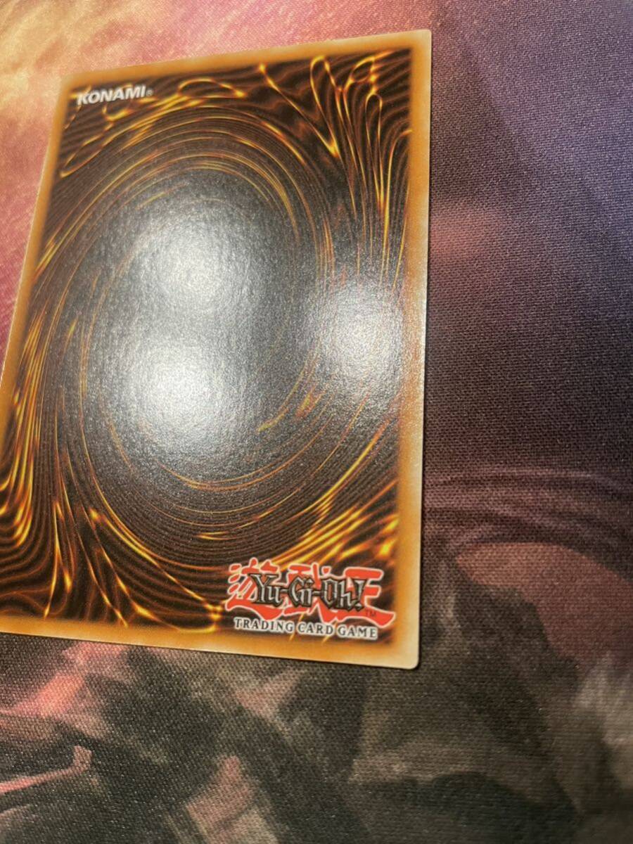 遊戯王　エラーカード　ブラック・ローズ・ドラゴン　英語　ネームズレ　yugioh black rose dragon name shift_画像8