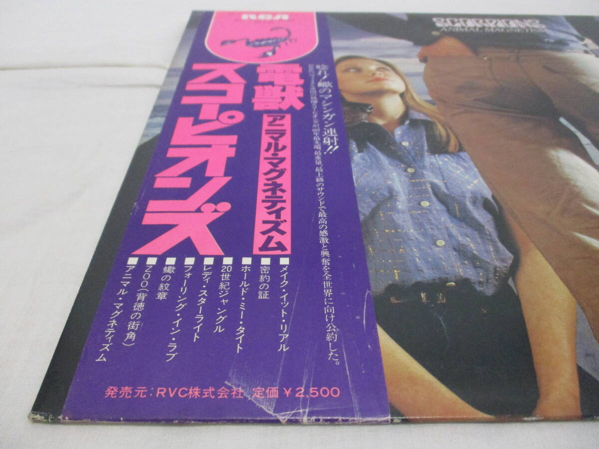 Scorpions - Animal Magnetism スコーピオンズ　電獣　アニマル・マグネティズム 国内盤 サンプル 見本盤LP 帯付き 白レーベル_画像5