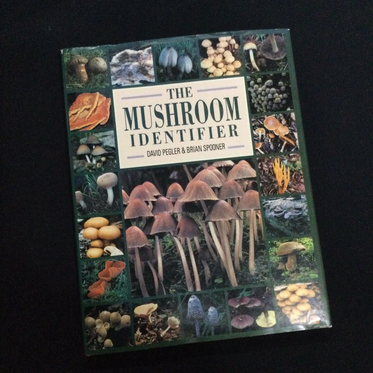 キノコ　北アメリカ　ヨーロッパ　図鑑　洋書　Mushroom マッシュルーム　写真集　植物　辞典　英語_画像1