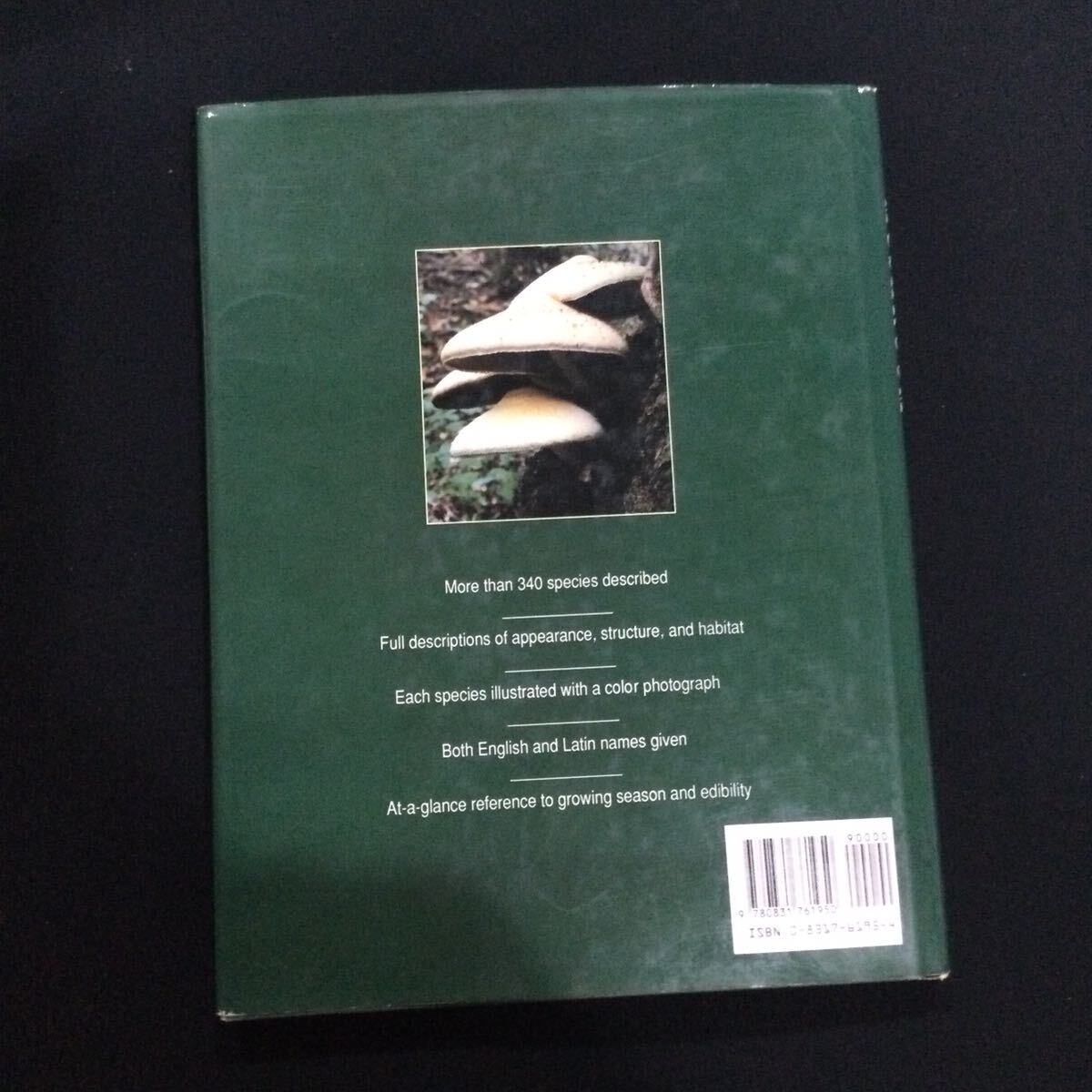 キノコ　北アメリカ　ヨーロッパ　図鑑　洋書　Mushroom マッシュルーム　写真集　植物　辞典　英語_画像2