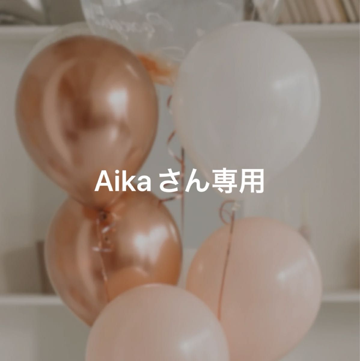 Aikaさん専用