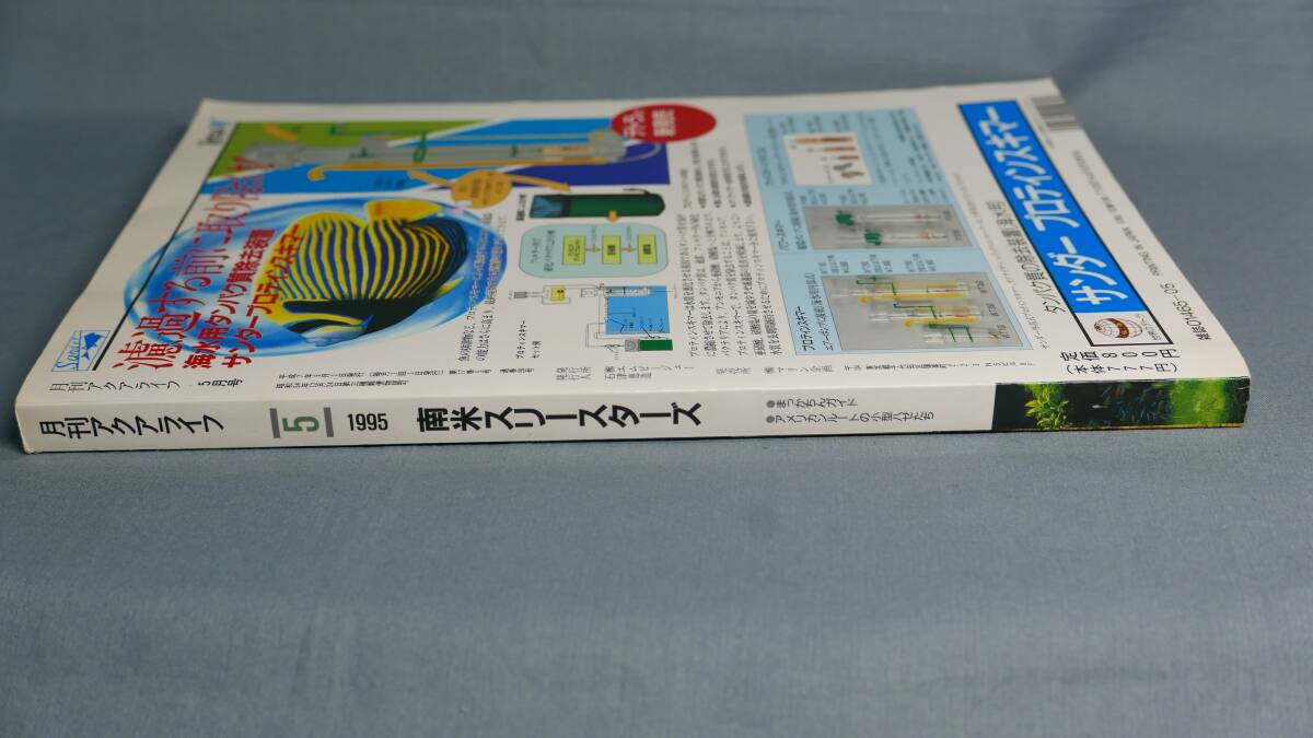 中古 雑誌 アクアライフ ５ 平成7年5月1日発行 No.190 の画像6