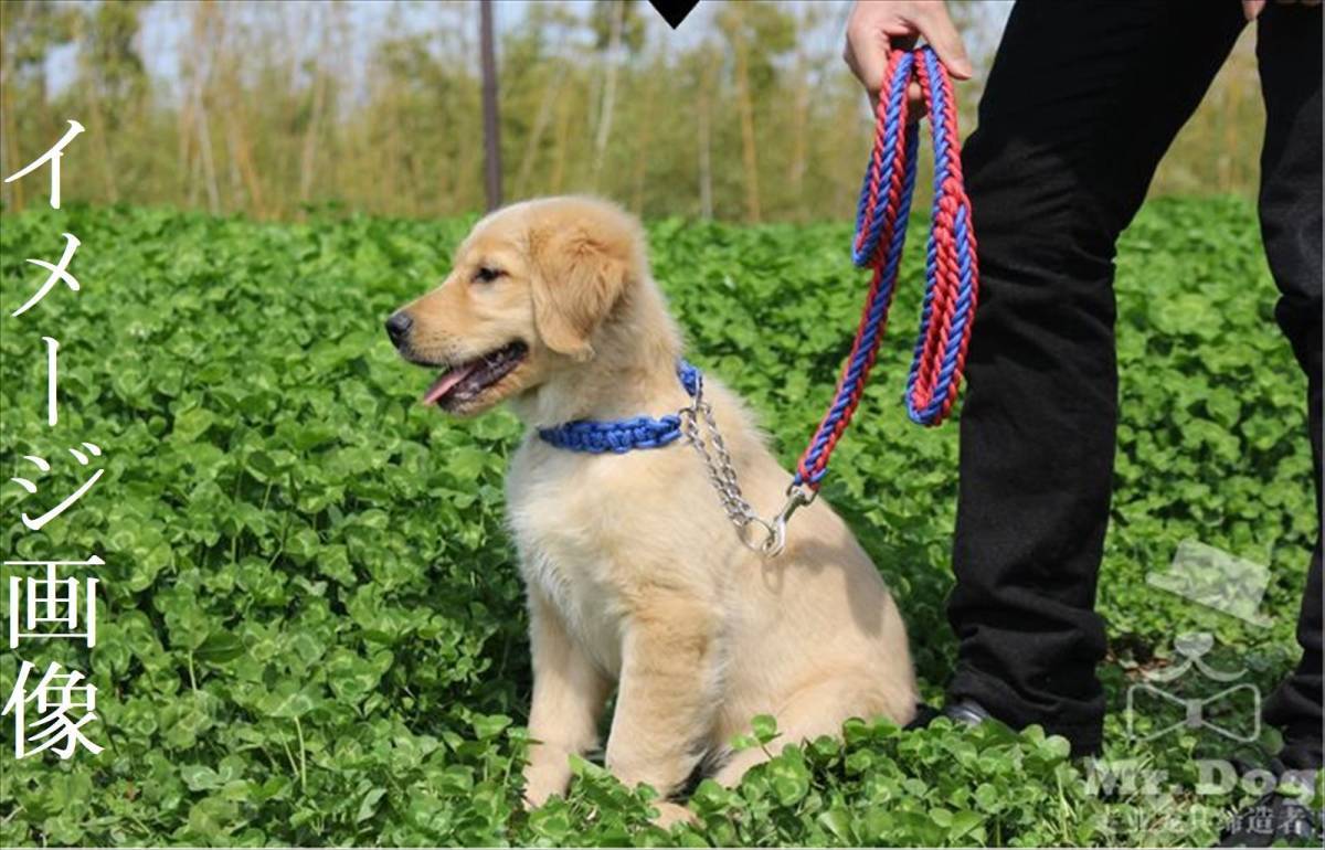 ハーフチョーク 首輪 リードセット M 青 黒 首回30～40cm 幅2.5 リード長さ110 幅2 中型犬 大型犬 ブルー 散歩 しつけ トレーニング 編込み