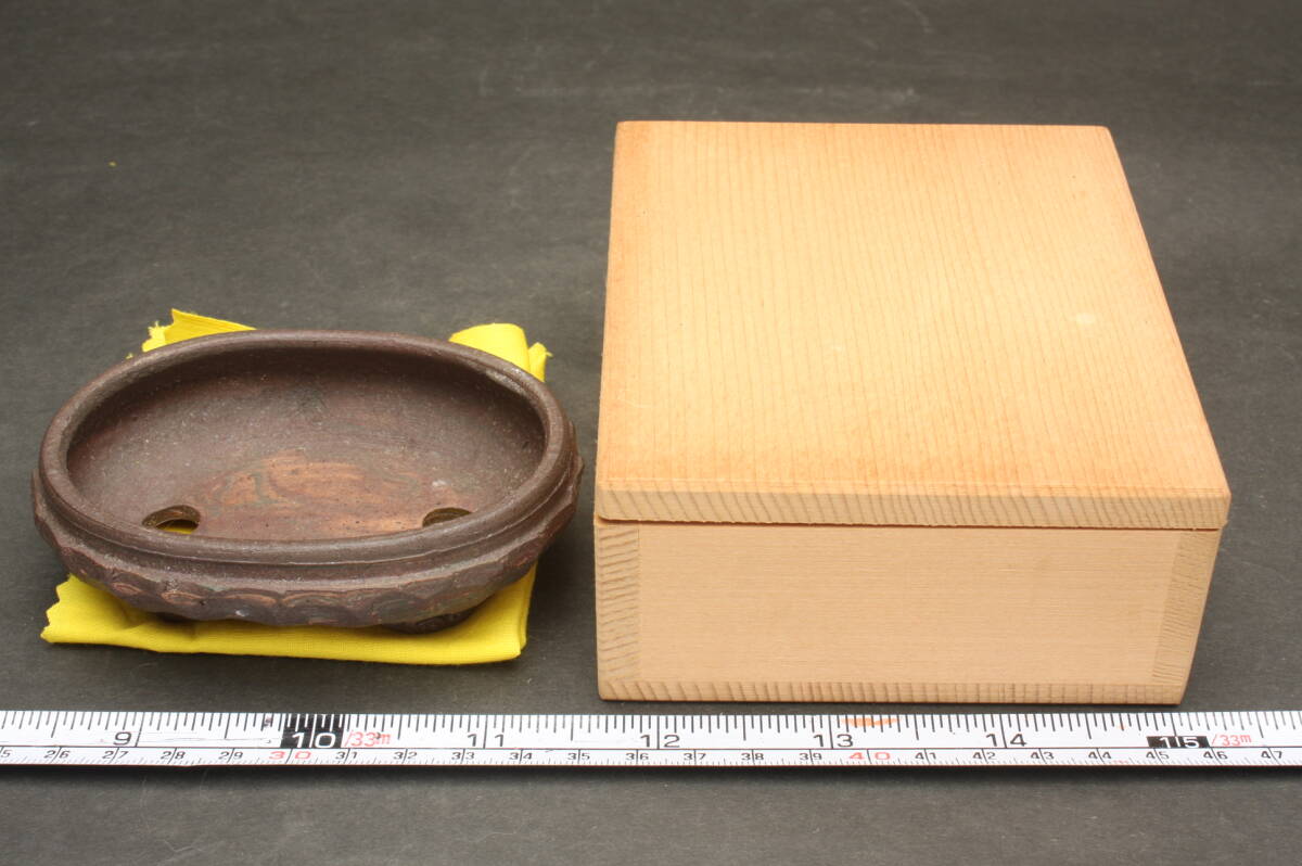 46753 名品 10.5cm 珍品 盆栽鉢 貴重品 時代物 名工 筒井竹二郎 泥珠窯 朱乃竹庵 楕円 多面取 小判豆鉢 雲足 木箱の画像1