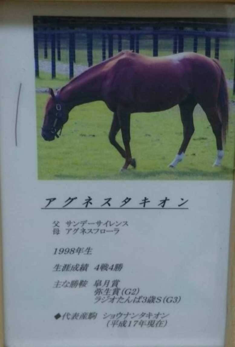 アグネスタキオン 一本 たてがみ 非売品 チャリティー ウマ娘 風水 御守り 競馬 当選品 の画像1