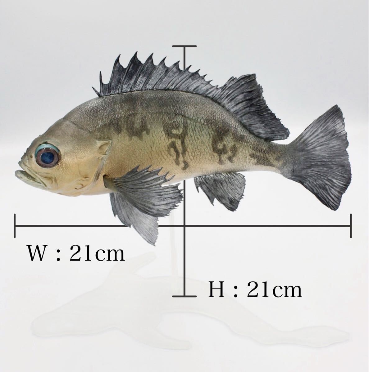 メバル(青)フィギュア 魚模型 ハンドメイド レプリカ オリジナル メバル(青)フィギュア 魚模型 ハンドメイド レプリカ オリジナル