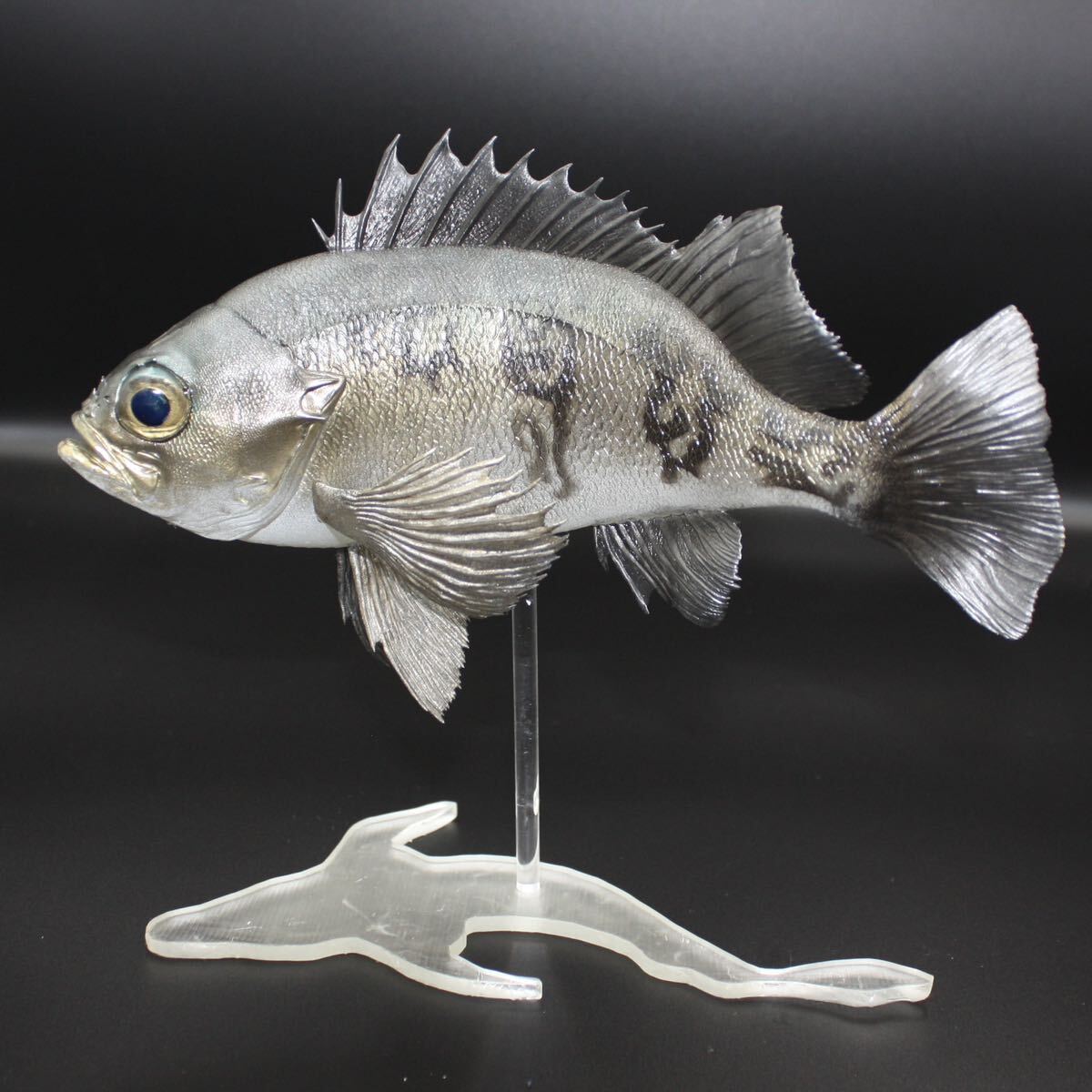 メバル(青)フィギュア 魚模型 ハンドメイド レプリカ オリジナル メバル(青)フィギュア 魚模型 ハンドメイド レプリカ オリジナル