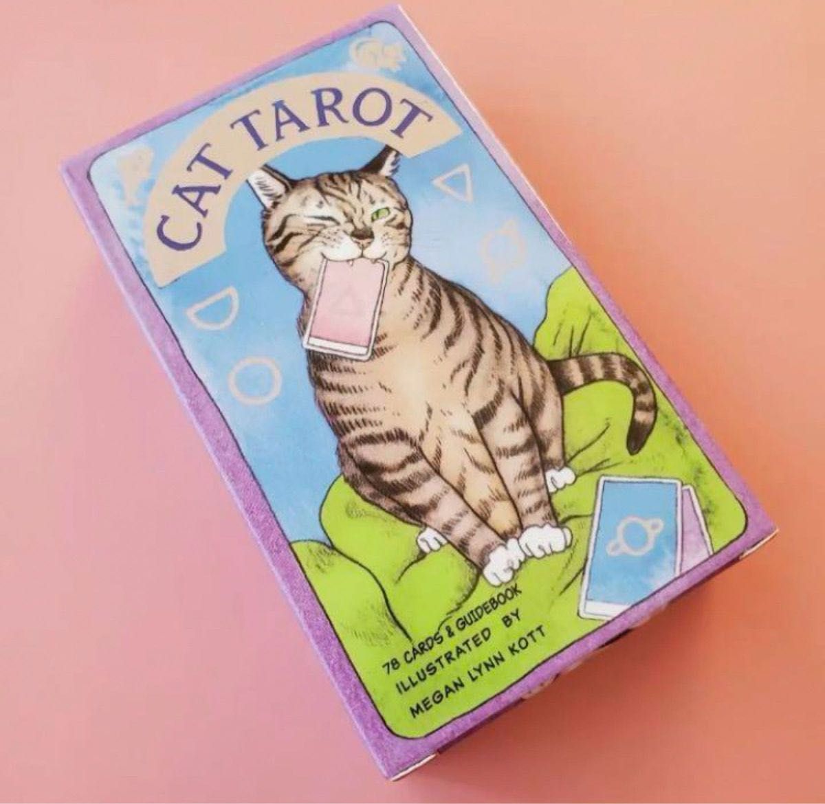 タロット タロットカード CAT TAROT 猫 ネコ ねこ 占い　キャットタロット ライダー版 