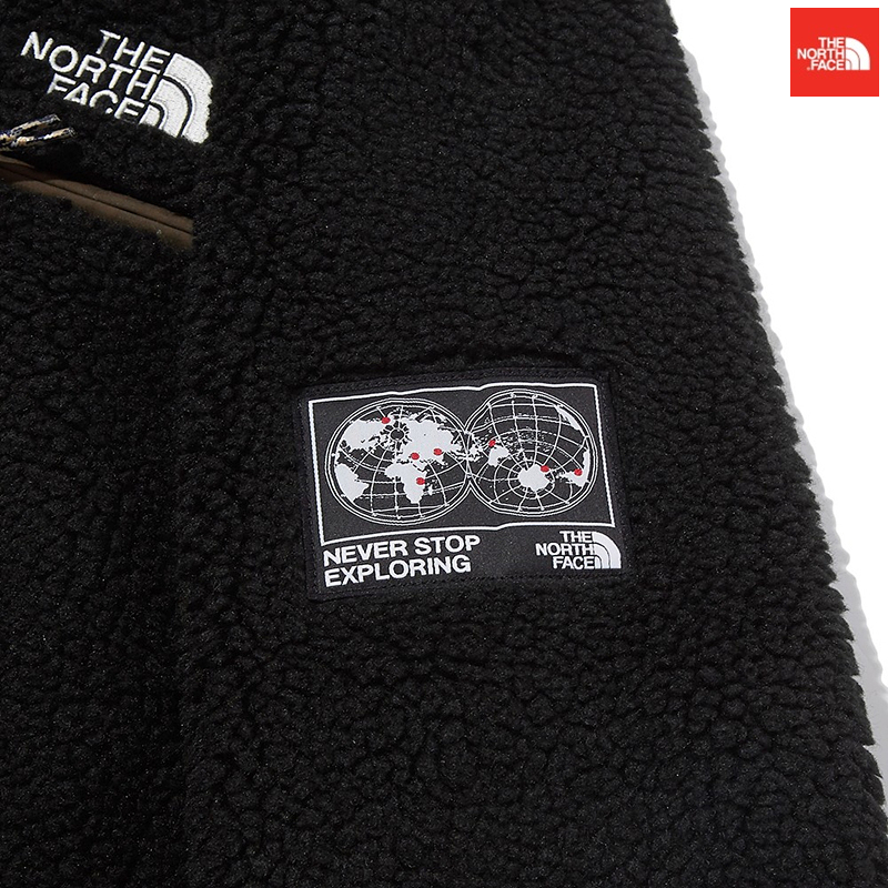 正規新品 L THE NORTH FACE ノースフェイス SAVE THE EARTH FLEECE HOODIE フリースジャケット ブラックの画像5