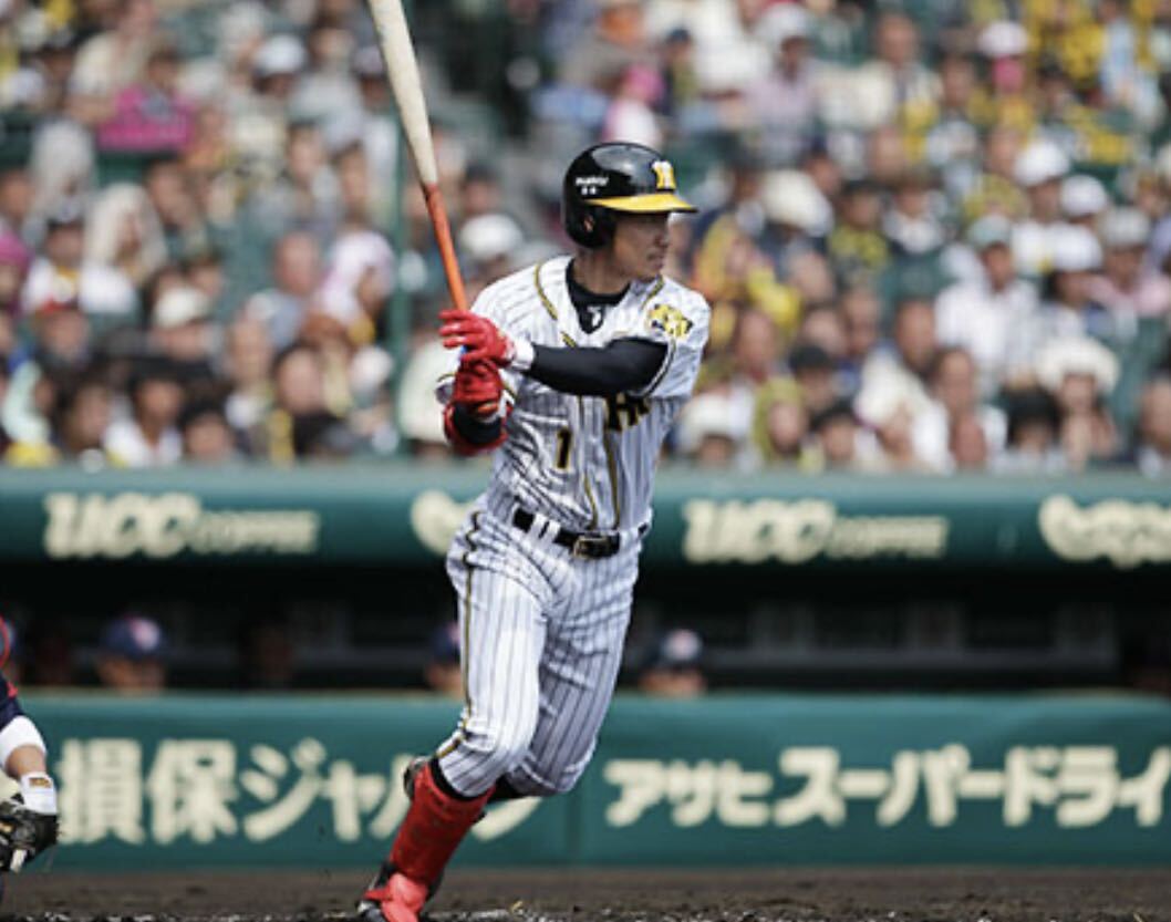 送料無料 即決 阪神タイガース 鳥谷敬選手ユニフォーム 2013ウル 送料無料 即決 阪神タイガース 鳥谷敬選手ユニフォーム 2013ウル