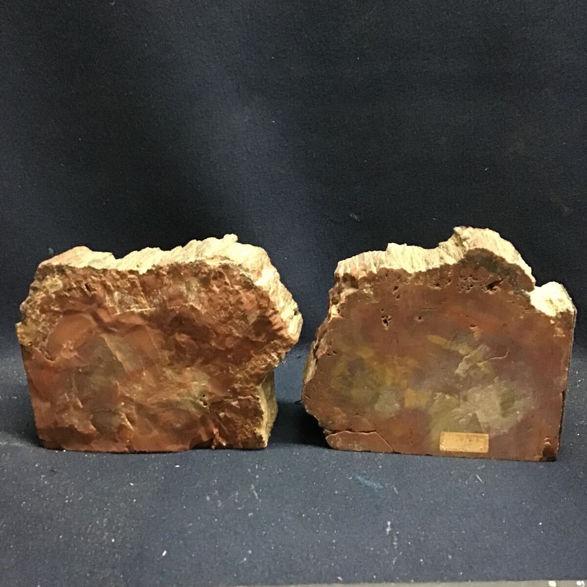 ブックエンド 木化石 珪化木 2個 木の化石 本棚の画像4