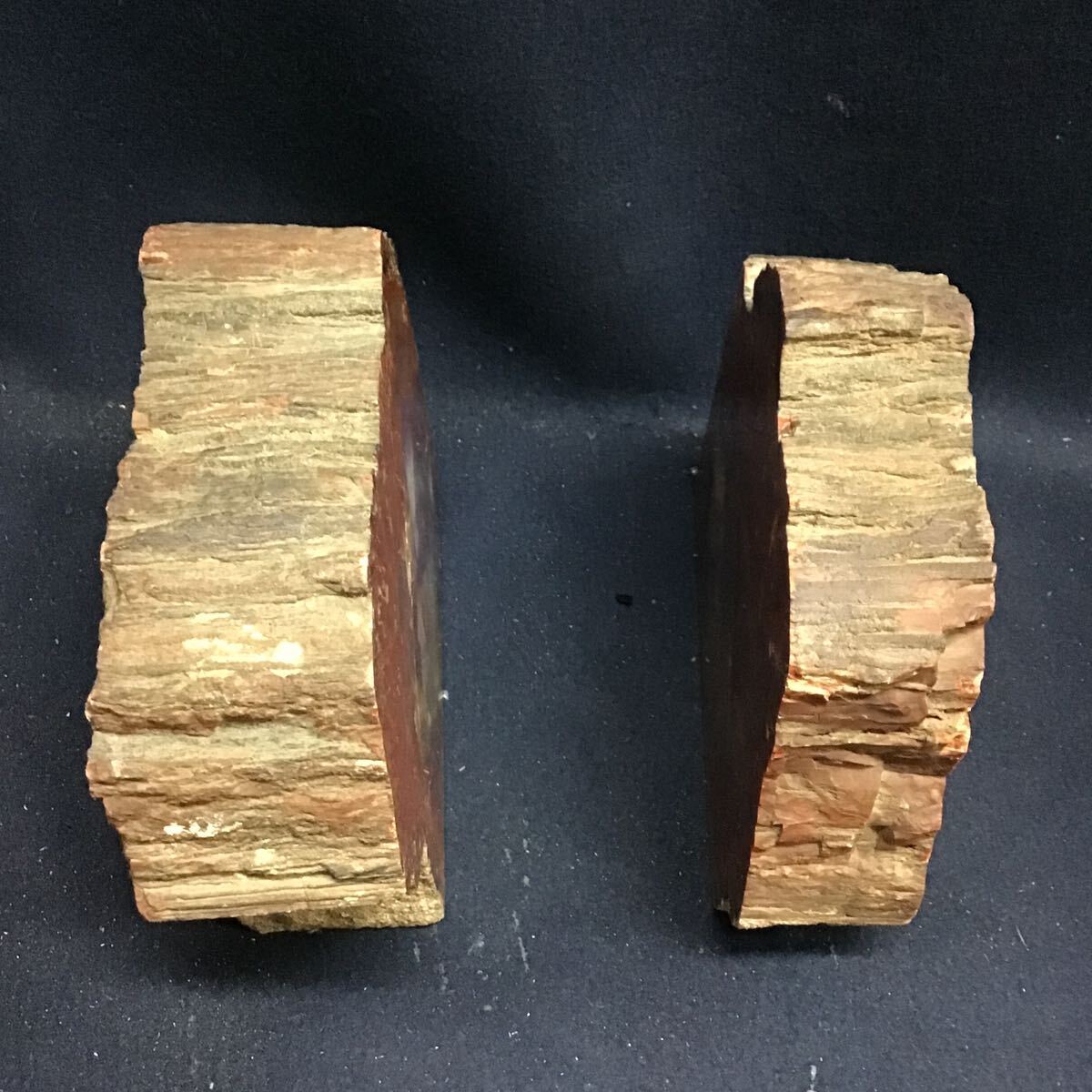 ブックエンド 木化石 珪化木 2個 木の化石 本棚の画像3