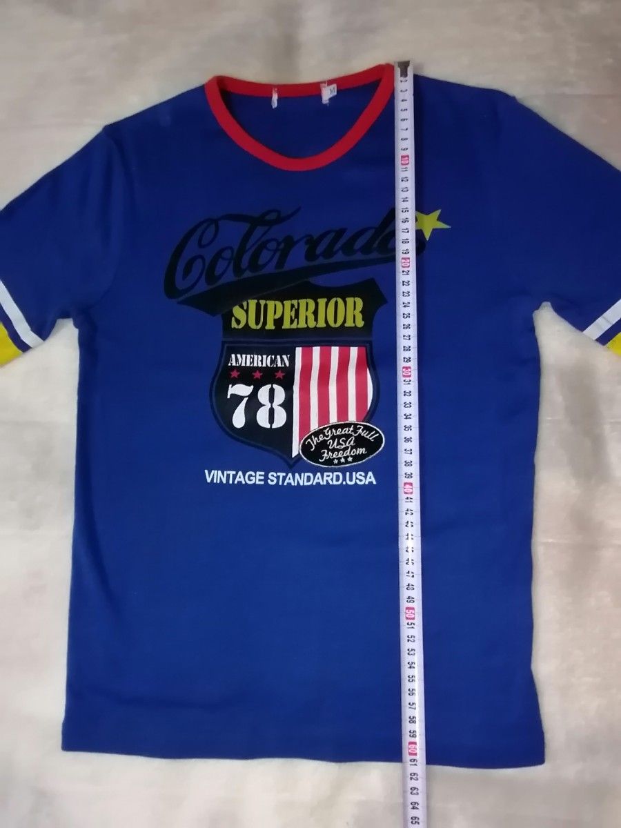 長袖 Tシャツ プリント ロゴ ブルー ストレッチ生地 ブルー Colorado SUPERIOR AMERICAN USA 78