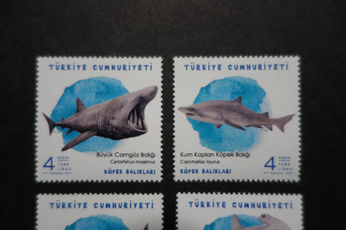 外国切手： トルコ切手「サメ」4種完 未使用_画像2