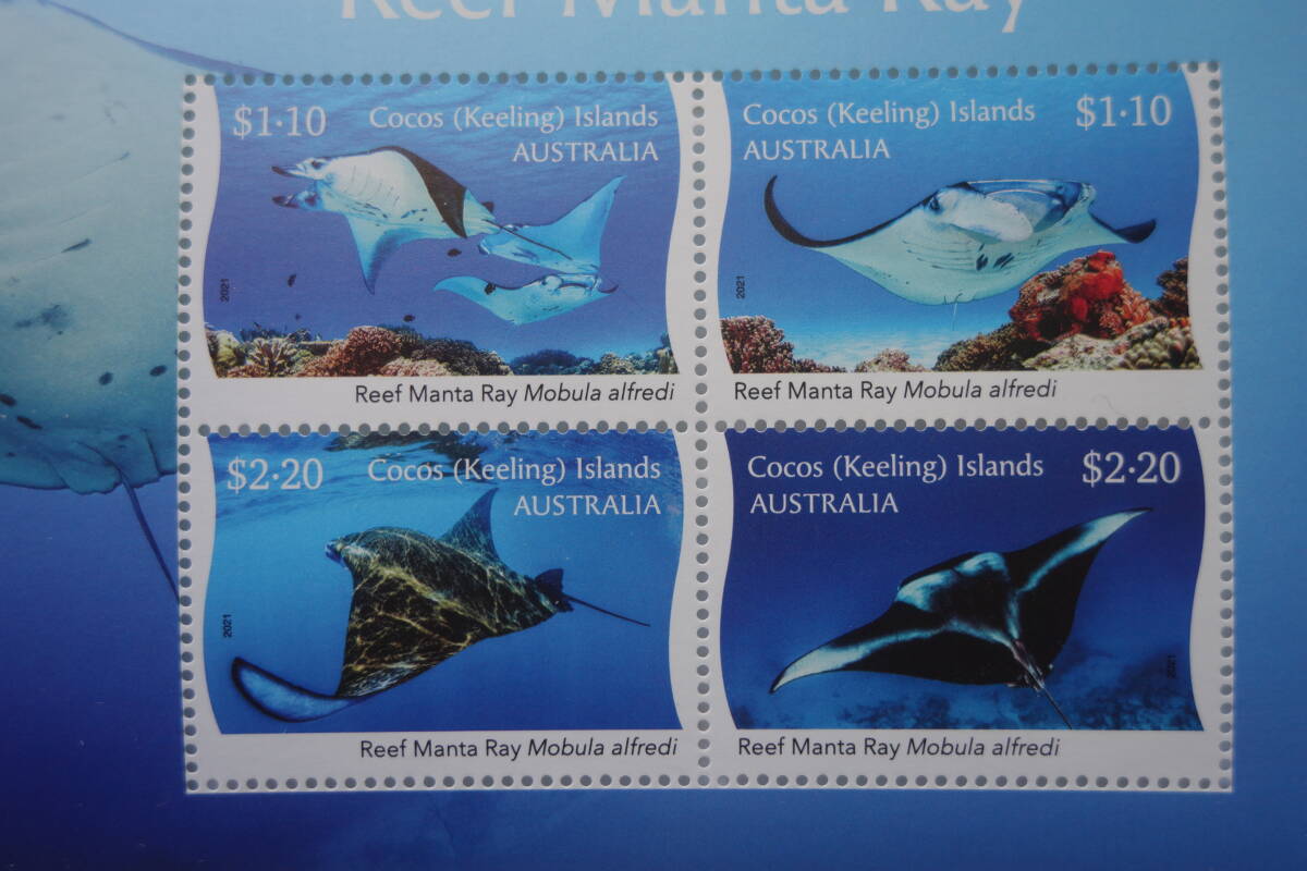 外国切手：クック諸島切手 「ナンヨウマンタ 」 4種完 未使用_画像2