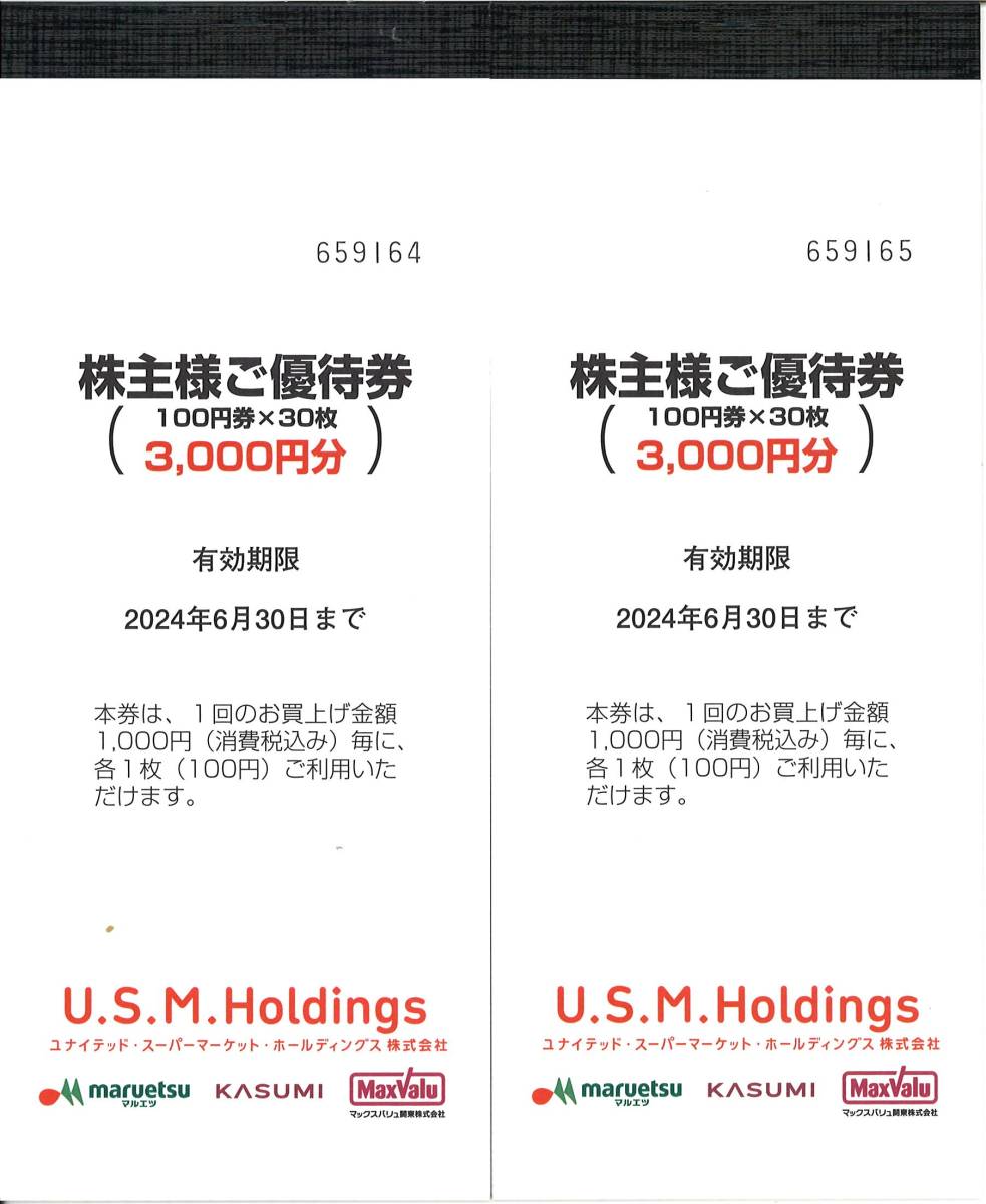 ■ 送料無料 ■ ■ 送料無料 ■ ユナイテッド・スーパーマーケット 株主優待券 6000円分 U.S.M.H 20224年6月30日 定形郵便_画像1