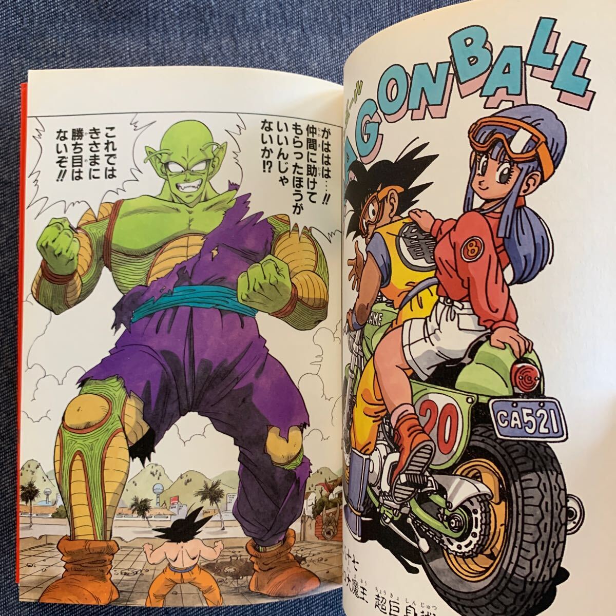 ドラゴンボール　完全版　１３　（ジャンプ・コミックス） 鳥山明／著　13巻　初版　扉絵コレクション　カラー口絵　2003 週刊少年ジャンプ_画像7