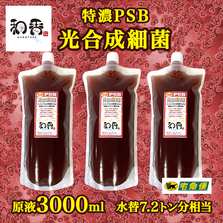 【水質浄化 免疫力強化】特濃光合成細菌PSB3000ml バクテリア めだか らんちゅう 金魚 熱帯魚 グッピーにミジンコゾウリムシクロレラ培養に_特別濃縮 水質浄化 免疫強化