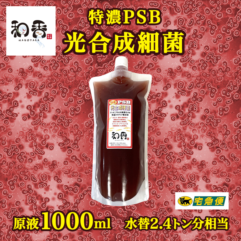 【水質浄化 免疫力強化】特濃光合成細菌PSB1000ml バクテリア めだか らんちゅう 金魚 熱帯魚 グッピーにミジンコゾウリムシクロレラ培養にの画像1