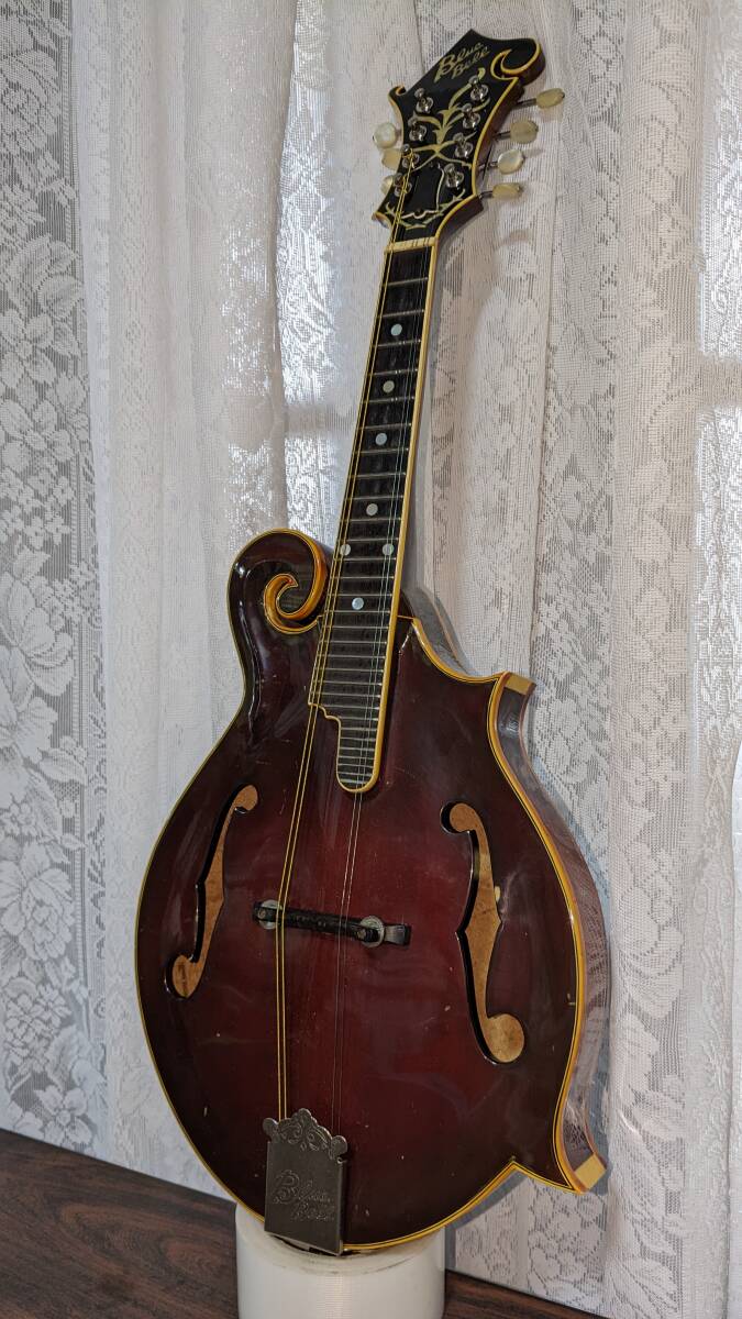  blue bell F15 Flat mandolin 