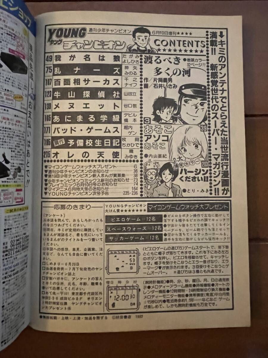 送料無料　増刊　ヤングチャンピオン　1982年　6月10日号　内山亜紀　片岡義男　谷口敬_画像5