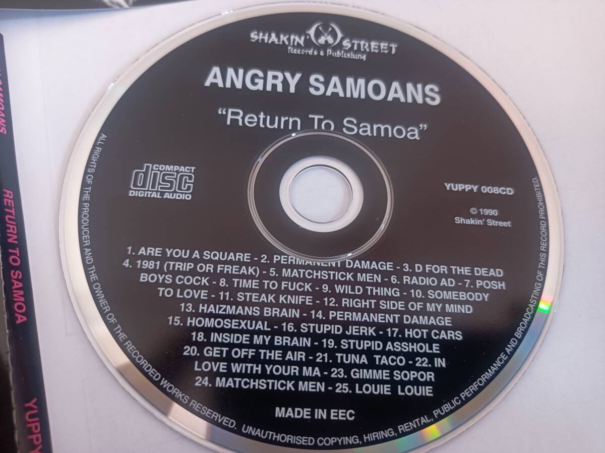 ■angry samoans（アングリーサモアンズ）■return to samoa(out-takes/lost tapes)■CD■POWER POP/パンク天国/PUNK/パワーポップ_画像5
