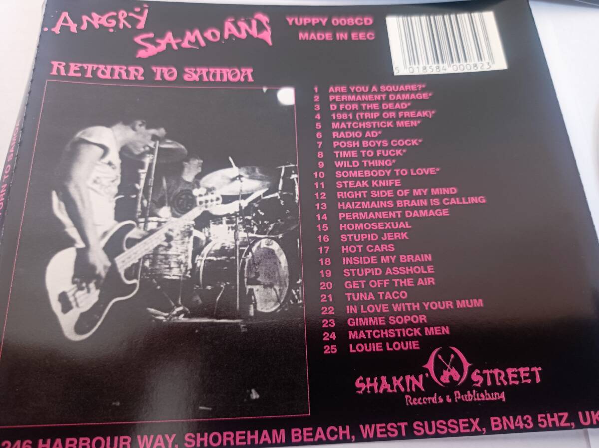■angry samoans（アングリーサモアンズ）■return to samoa(out-takes/lost tapes)■CD■POWER POP/パンク天国/PUNK/パワーポップ_画像4